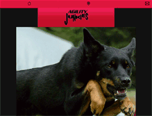 Tablet Screenshot of agilityjunkies.com